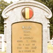Grave of Petrus Willem WILLOX