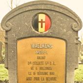Graf van Amédé Joseph WAELKENS