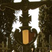 Grave of Franciscus Philomena VERHULST