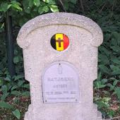 Graf van Arthur Germain BATJOENS