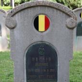 Graf van Alphonse VERSIN