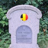 Graf van Wilhelmus Ludovicus MAES