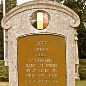 Graf van Arthur Pieter VOET