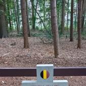 Grave of Maurice Ludovicus BELLON