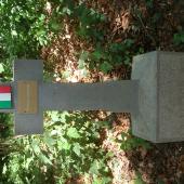 Graf van Salvatore SALVATELLI