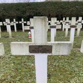 Graf van Leo Juliaan Joanna JOYE