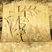 Graf van Alfons Victor D'HERTOG