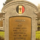 Graf van Joannes Gerardus VERHOEVEN
