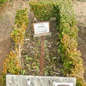 Grave of Jean Marie Joseph Ghislain REMONT