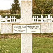 Graf van Benedictus VAN BOSBEKE