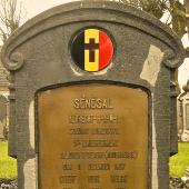 Grave of Albert Henri Aime Marie SENESAL