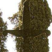 Grave of Julianus RUYSEN