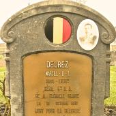 Graf van Marcel Desire Theophile DELREZ