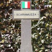 Grave of Arnaldo SCARAMUZZA