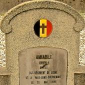 Grave of Adrien Andre AMIABLE