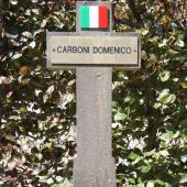 Grave of Domenico CARBONI