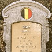 Grave of Albert Joseph Louis RONGY