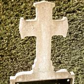 Grave of Franciscus Josephus Elisabeth LAENEN