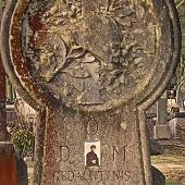 Grave of Alphonse Arthur Louis MEULEMAN