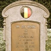 Graf van Réné VAN DEN AVENNE