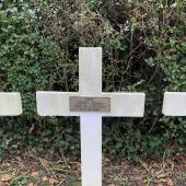 Graf van Léopold HARDY