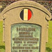 Graf van Henricus Josephus RAEKELBOOM