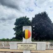 Graf van Henricus Joannes MICHAUX