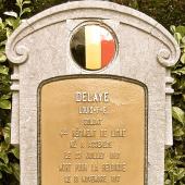 Graf van Louis Felix Theofiel DELAYE