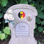 Grave of François DE BOYE