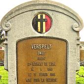 Grave of Emilius Marinus VERSPEELT