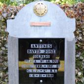Graf van David José ANTUNES
