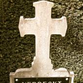 Grave of Victor VERRECKT