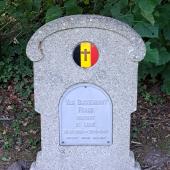 Graf van Frans, A. VAN BUGGENHOUT