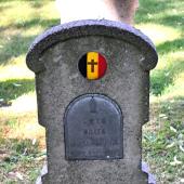 Graf van Willem THYS