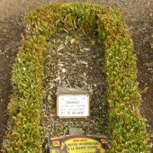 Grave of Arthur Eugene DE VLEESCHAUWER