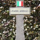 Grave of Arrigo PARRI