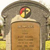 Graf van Josephus Lambertus RAEYMAEKERS