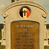 Graf van Oscar René VAN DEN HAUWE