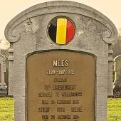 Grave of Joannes Baptista MEES