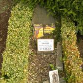 Grave of Felix WOUTERS
