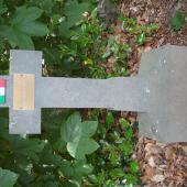 Grave of Angelo DELMIGLIO