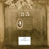 Grave of Guillaume Marie Achille LUYTEN