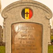 Graf van Eugene Jean VERHAEREN