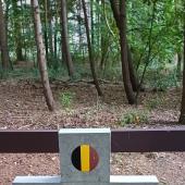 Graf van Karel Augustijn Benoni ROGGEN