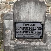 Graf van Gilbert Camille BEAUFAYS