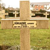 Grave of Alphonsus Edmondus VERGAUWE