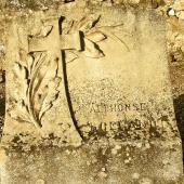 Grave of Alphonsus ROELANDT
