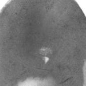 Photo of Lodewijk Frans VAN CAMPFORT