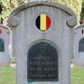 Graf van Petrus Guilielmus LEMMENS