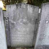 Graf van Georges Emile Armand DELLOYE